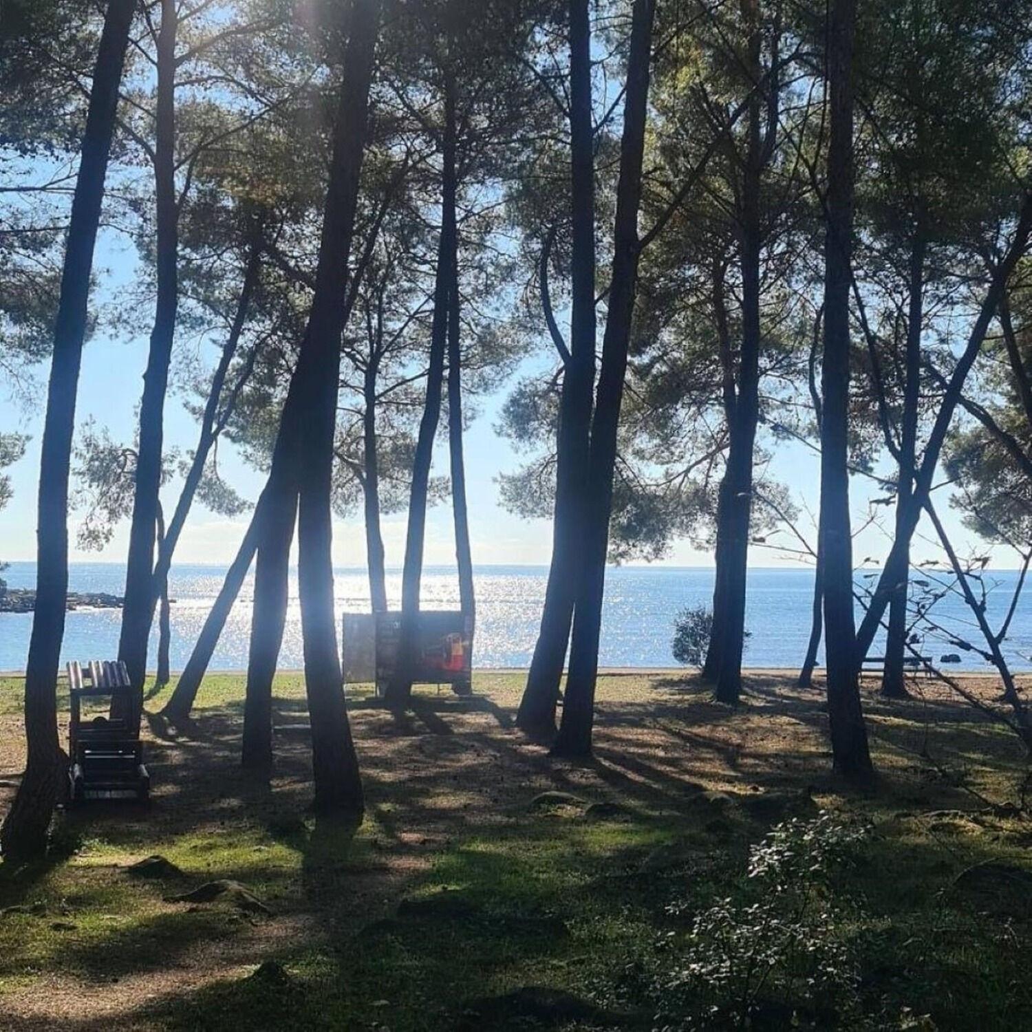 Apartments Berto - 500M To The Beach Rovinj Zewnętrze zdjęcie